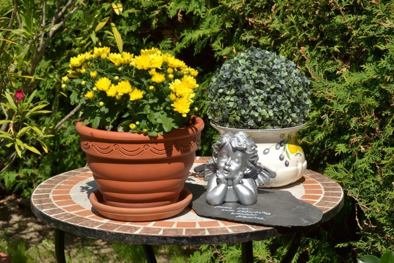 Apartment Heinen Andernach